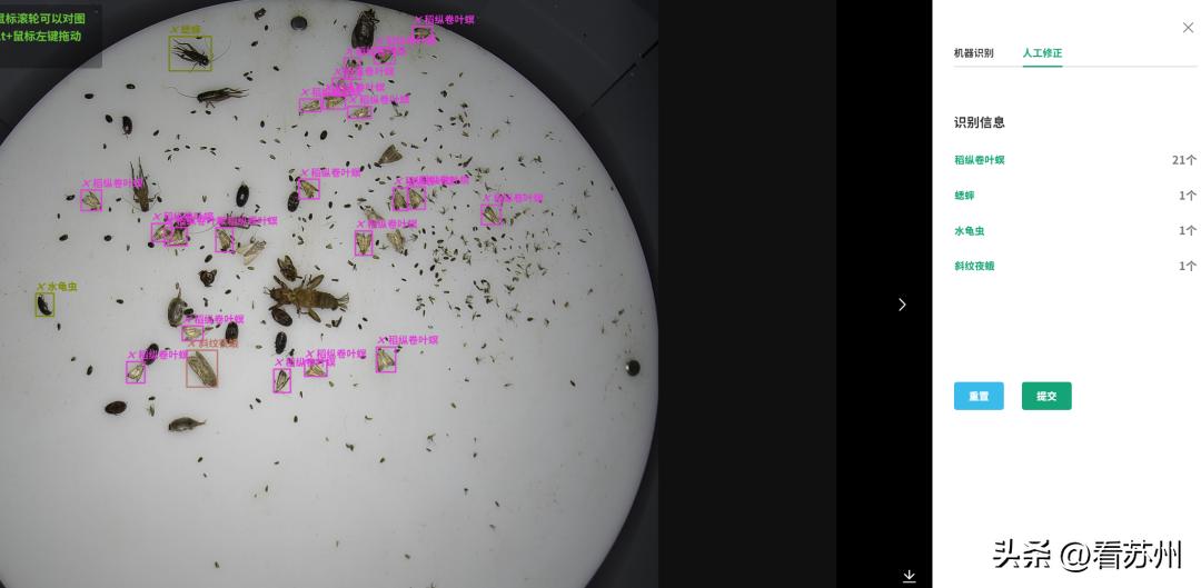 苏州湾现代农业公司,苏州无人化农场视频