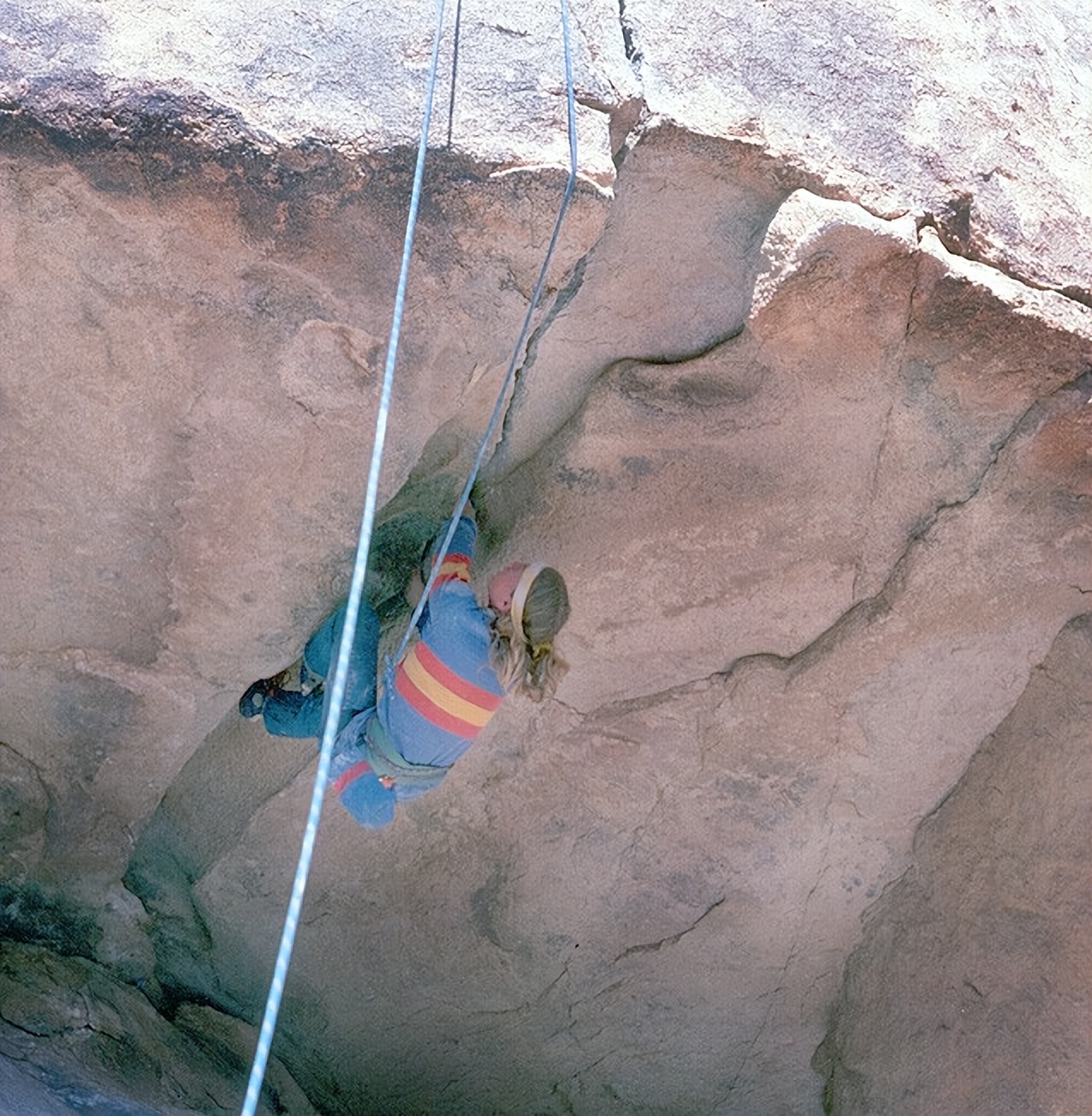 patagonia的总裁,patagonia品牌创始人