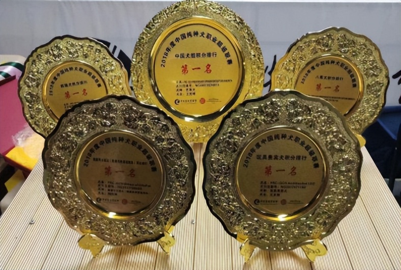 “小野宠爱”教你选择宠物投资赛道