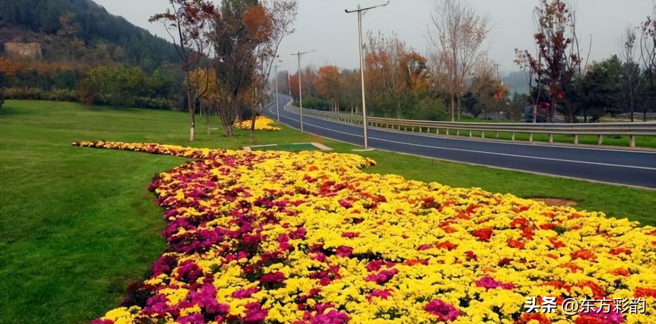 农村种植养殖什么赚钱,农村种植什么最赚钱投资小见效快