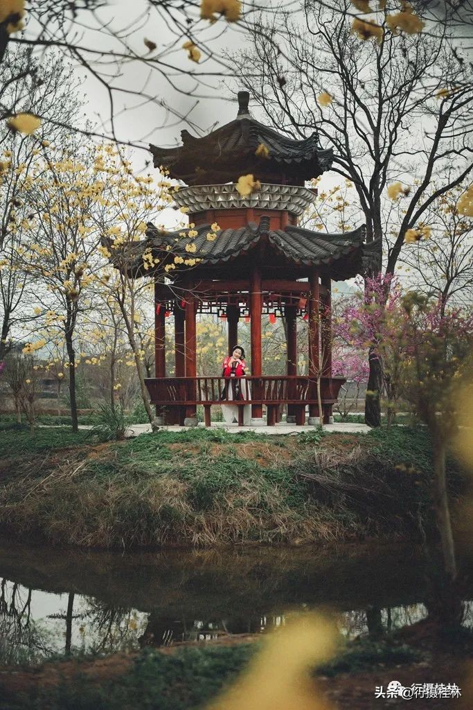 花仙子风铃,风铃花仙子