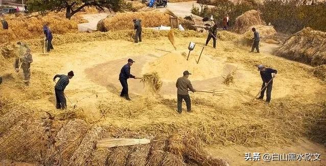 农村孩子的苦日子,90年代的农村孩子有多苦