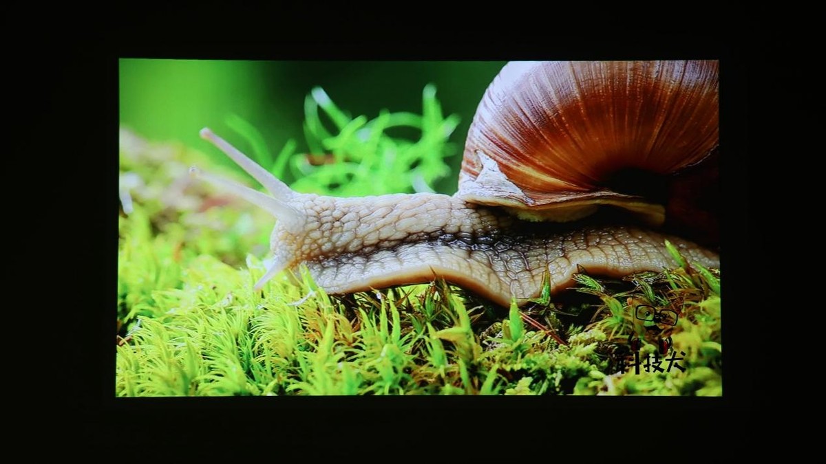 联想小新520投影仪观影效果,联想小新520投影仪测评