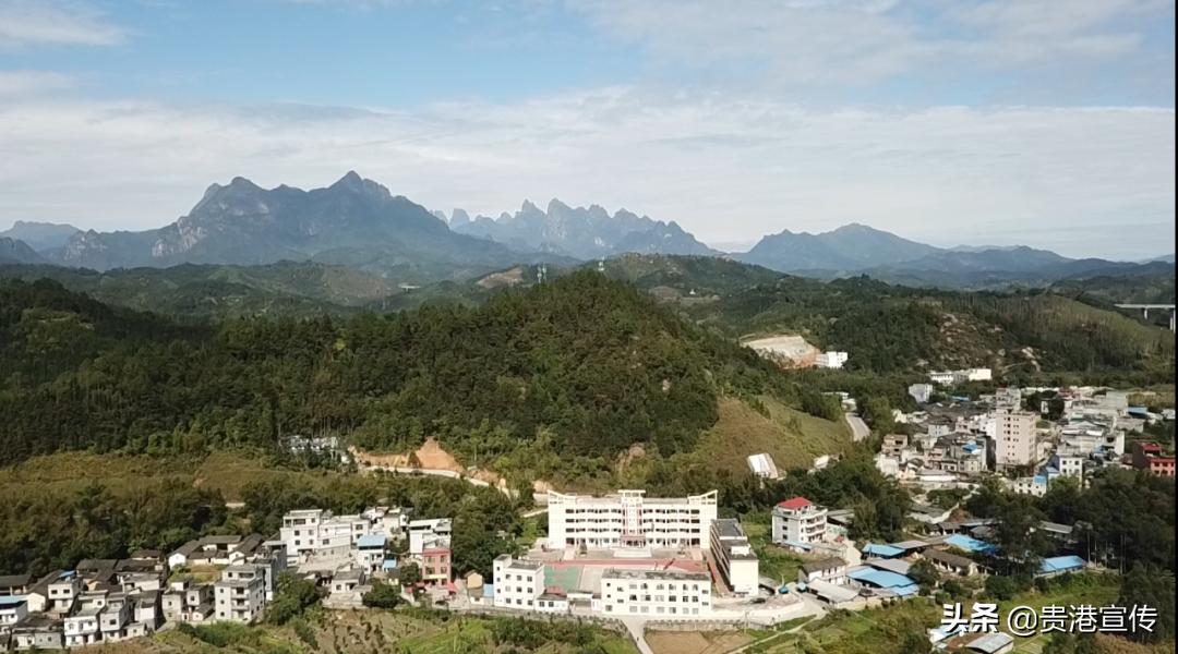 大鹏中心小学温逸宏,大鹏中心小学陈小波