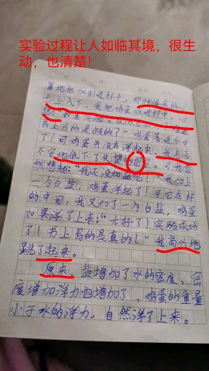 “一网”情深正耕耘爱心架起云课堂