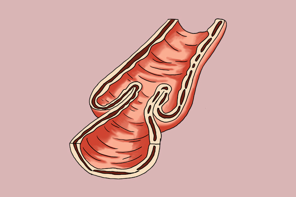 皮蛋是最恶心的食物吗,一次吃了两个皮蛋会引起铅中毒吗