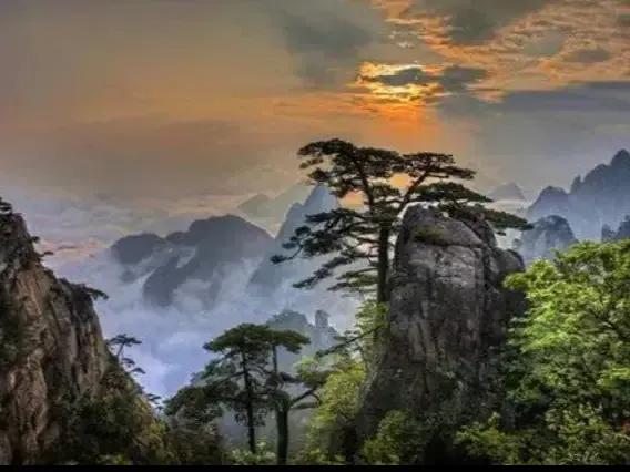 男博士与女导师的柏拉图之恋——回忆我的大学本科生活