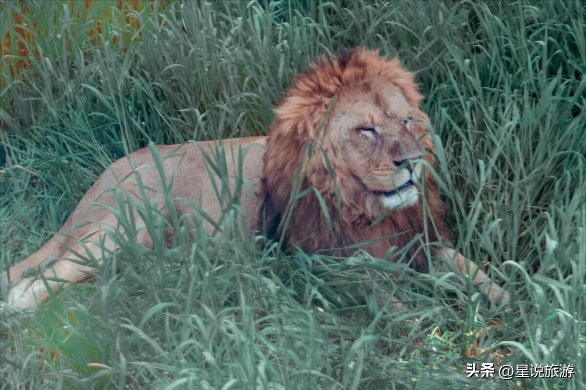 上海适合老年人去的景区,上海四星级旅游景点排名榜