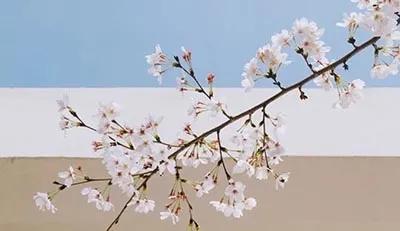 歌词文笔特别好的歌,意境极高的经典歌词