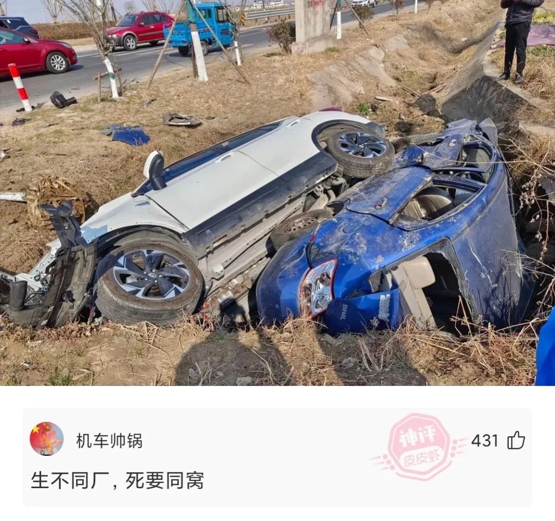 神回复每天坚持锻炼还是瘦不下去,神回复不减肥活着就好