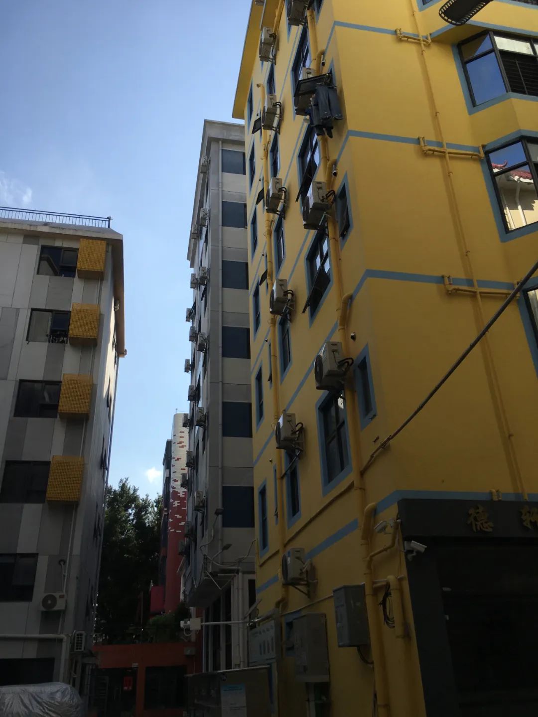 《旭光骑行深圳》第21站——龙华区龙华街道