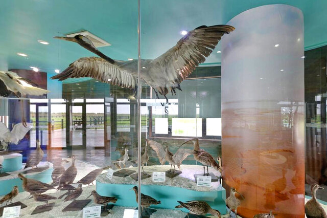 上海崇明生活是一种什么体验,崇明岛居住体验