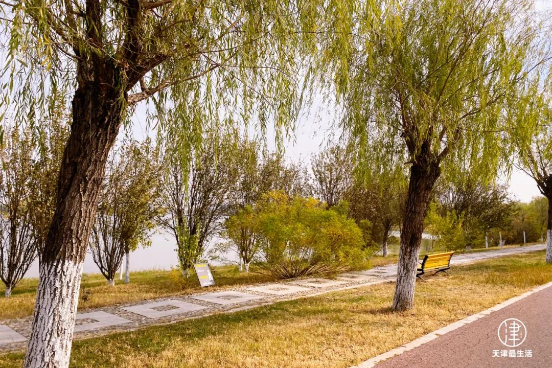 阳性+6例！蓟州这些场所开放！但为嘛我劝你，周末一定去趟武清区