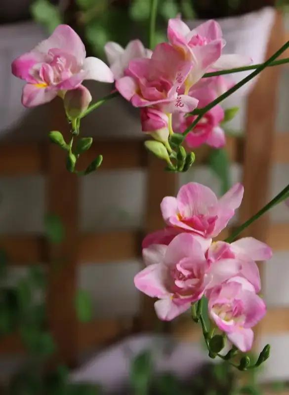 巧学英语小知识,英语基本语法知识