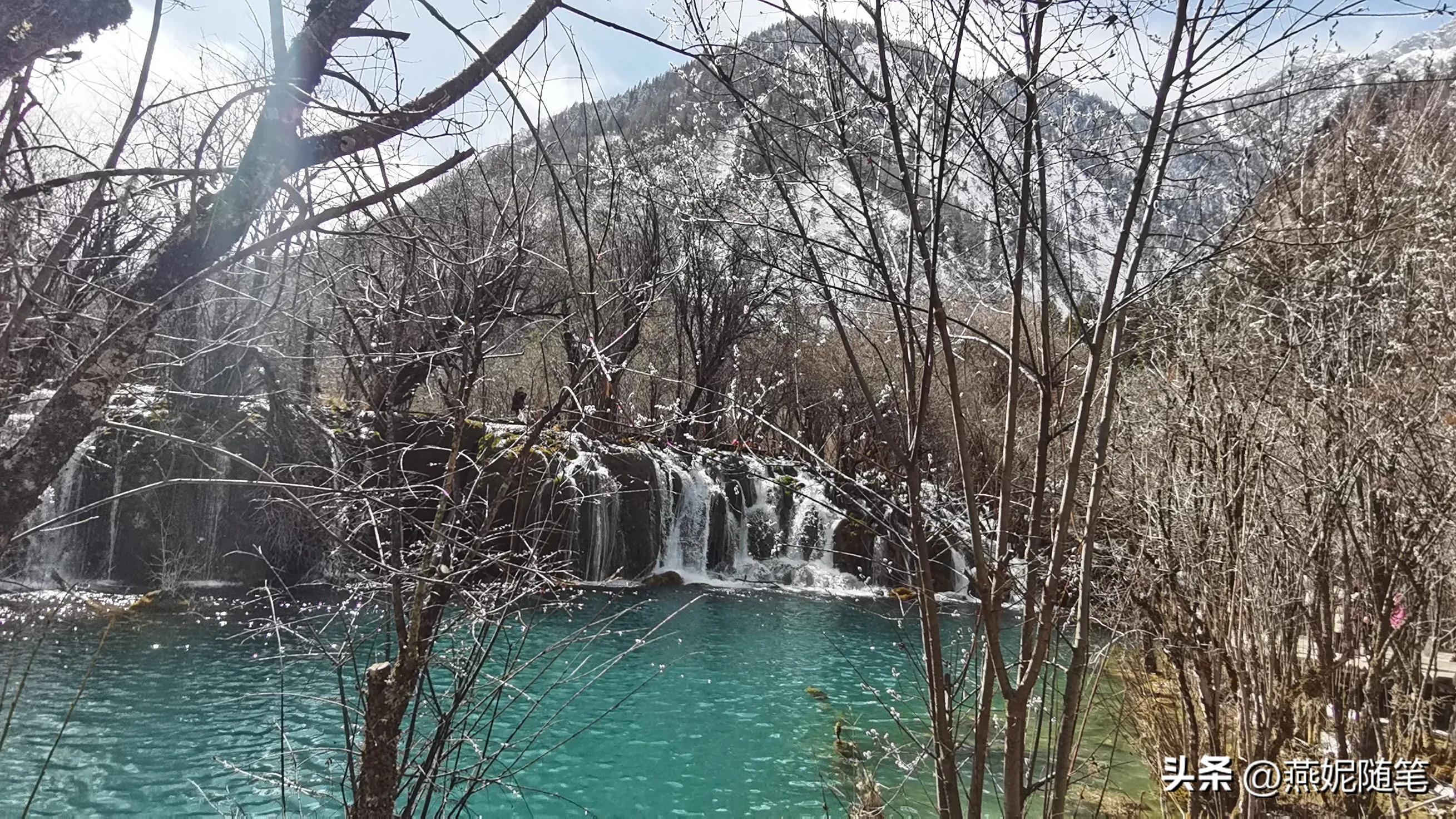 提防低价旅游骗局有哪些,警惕低价购物诈骗陷阱