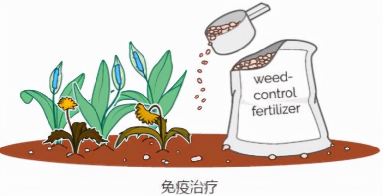 美国总统卡特得癌症的故事,美国前总统卡特癌症怎么治愈的