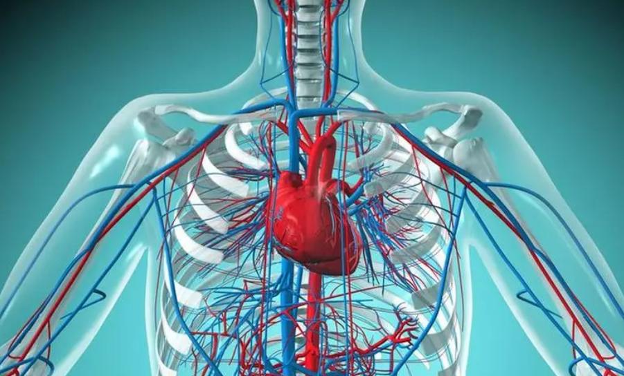 术后几年疼痛难忍怎么缓解,术后太痛怎么办