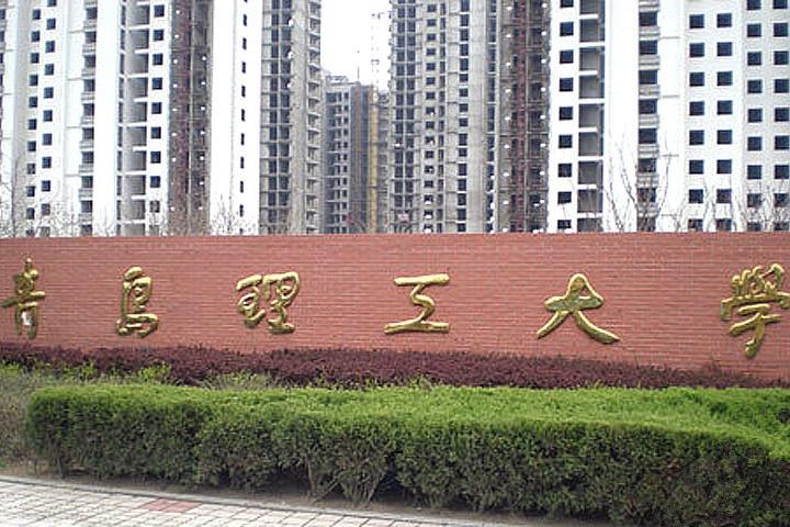 山东省2023艺考专业项目,山东艺术生报考的学校有哪些专业