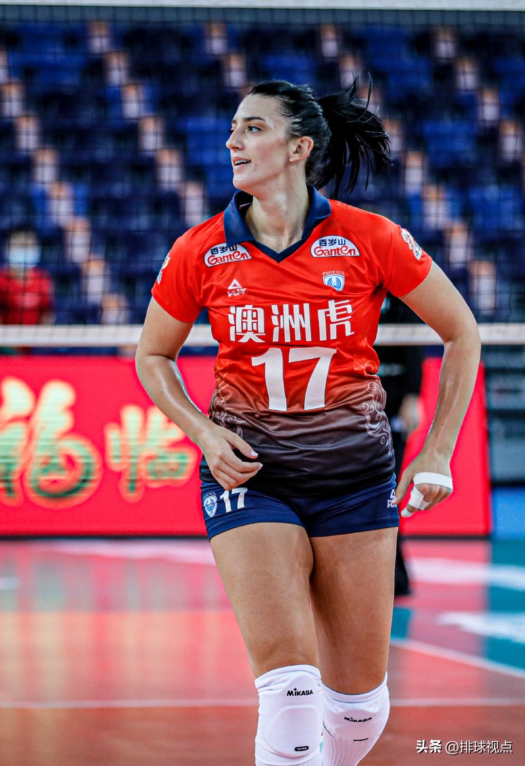 深圳中塞龙华女排签波兰强援,2022年深圳女排外援名单