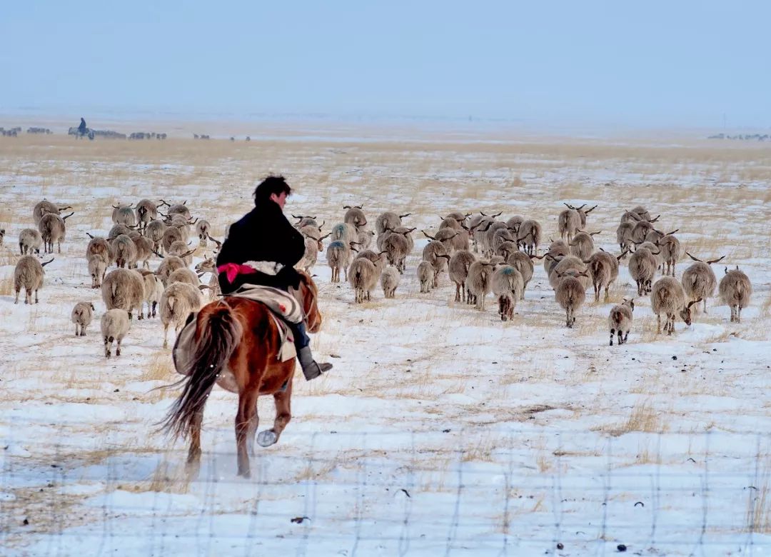 川西阿坝旅游详细攻略地图,川西阿坝旅游攻略三天