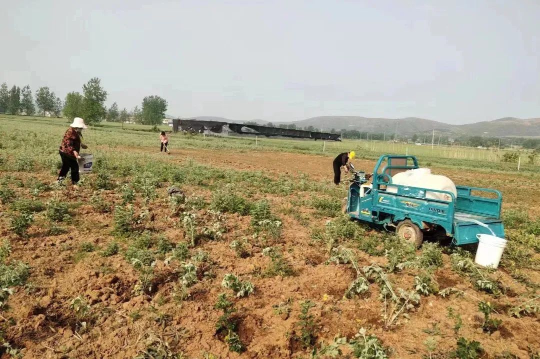 产业“联姻”产下“金娃娃”！