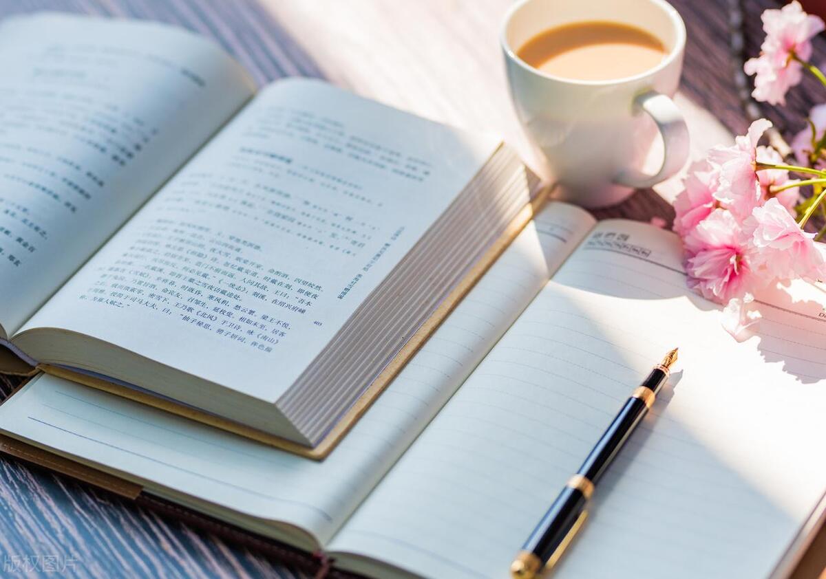 怎样在挣钱平台里受欢迎活跃一点,怎样有更好的挣钱平台