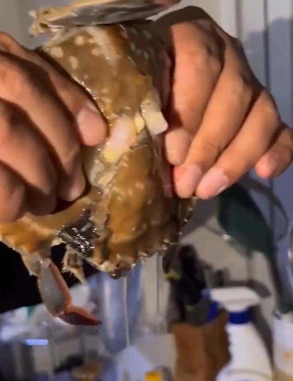 姊瓙锜硅瘓楠楁,楠楀瓙鍗栨瀛愯煿濂楄矾鎶ヨ