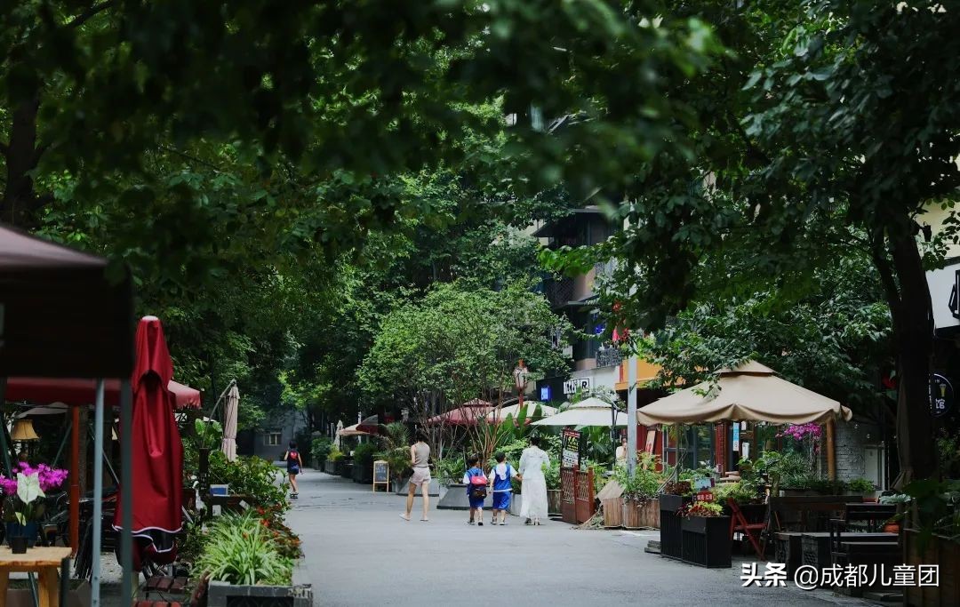 泡桐树街在哪里,泡桐树街现状