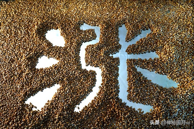 为什么牛价较猪价相当稳定,牛价赶超猪价最新行情统计