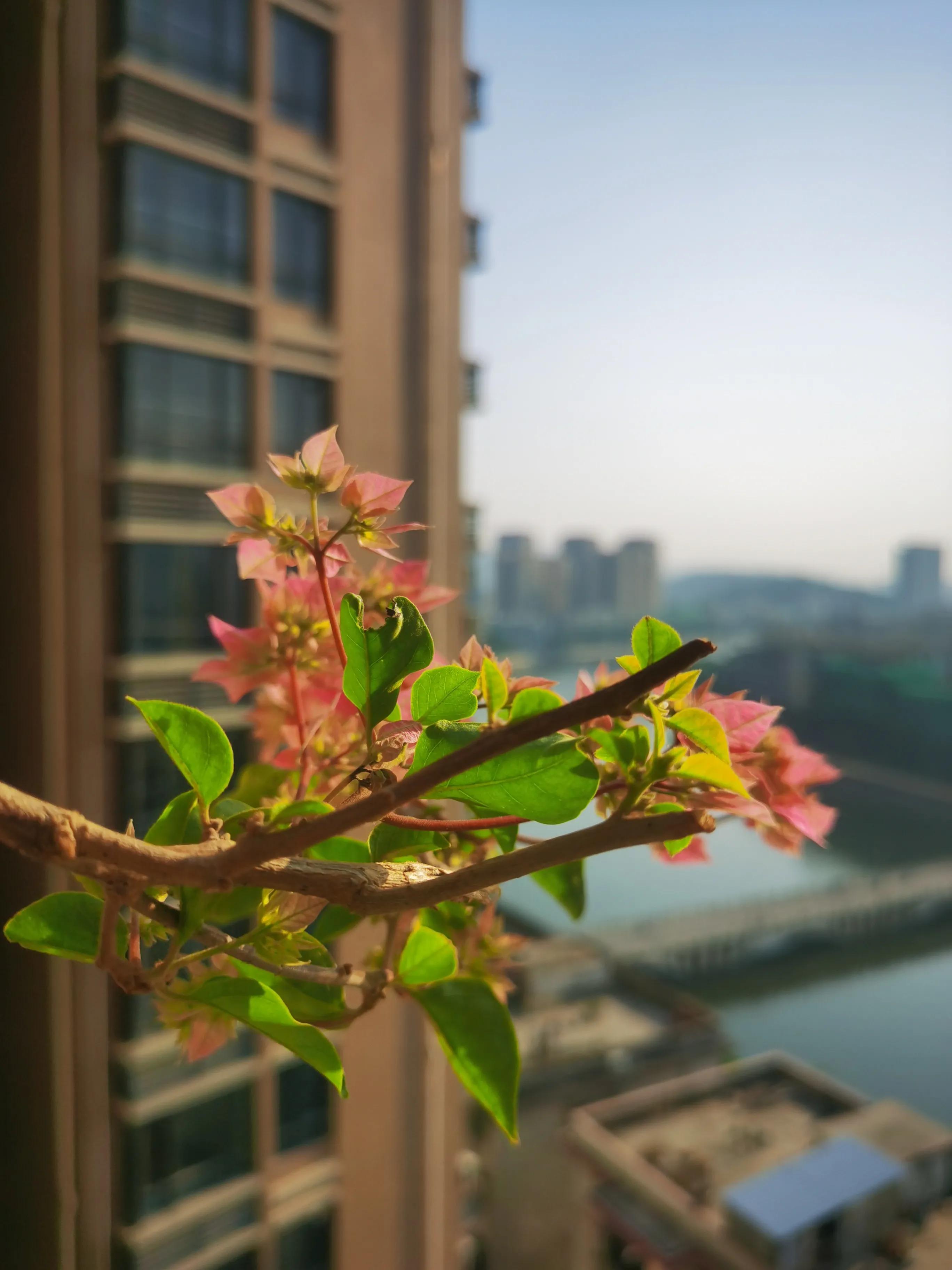 老公有了婚外情该怎么做,老公有了婚外恋情该怎么办