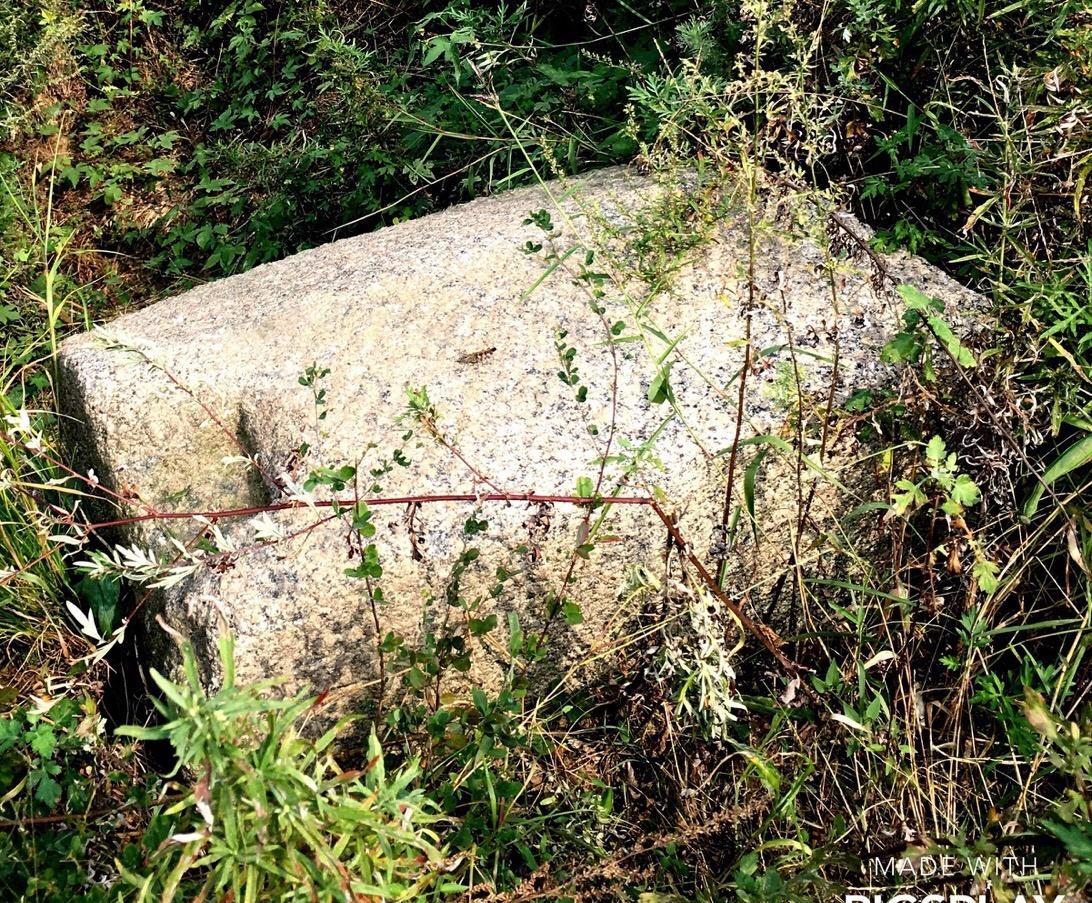 老照片清朝社会,清代市井照片