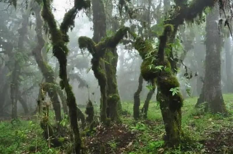 蜀道难难于上青天蜀道难,蜀道难的咏叹