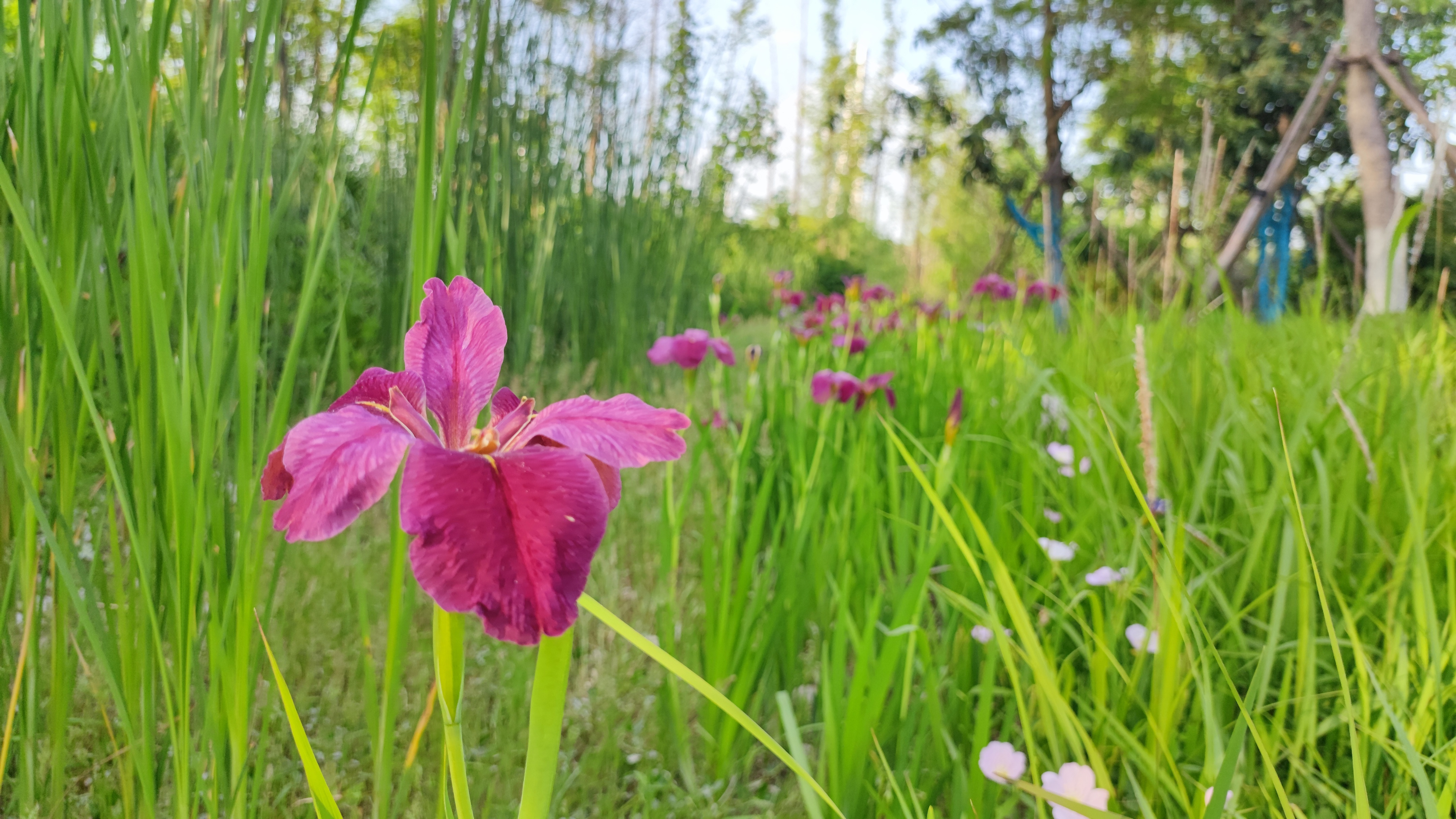 五一武汉江滩旅游人山人海,武汉青山江滩攻略
