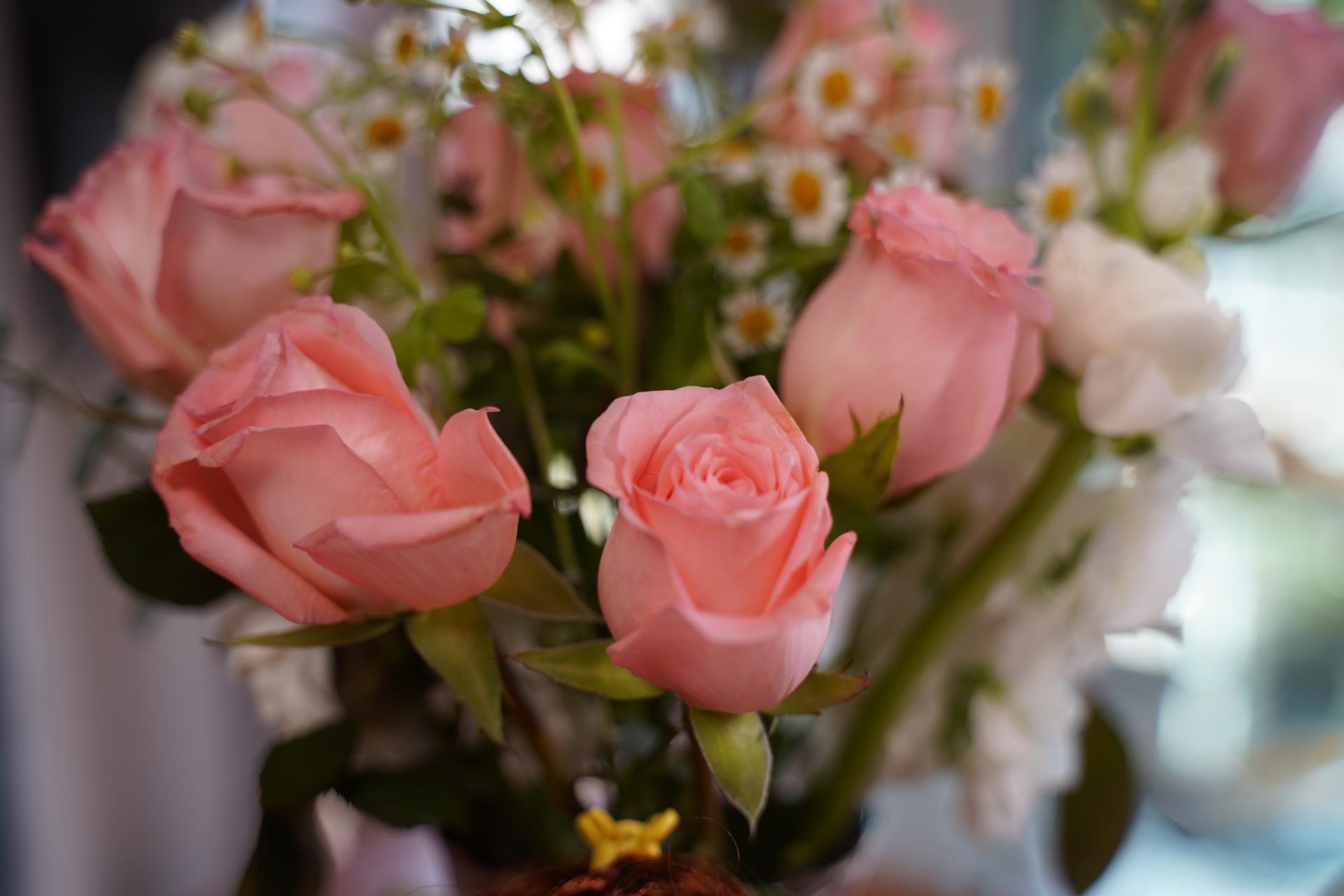 女神节快来给自己挑个礼物吧,女神节快到了送自己一份小礼物