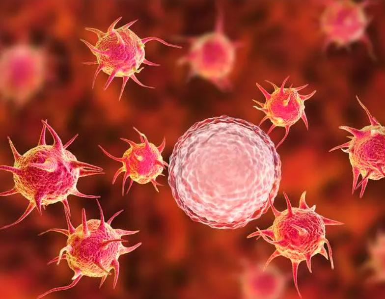 欧洲夫妇10个孩子,欧洲荒诞婚姻