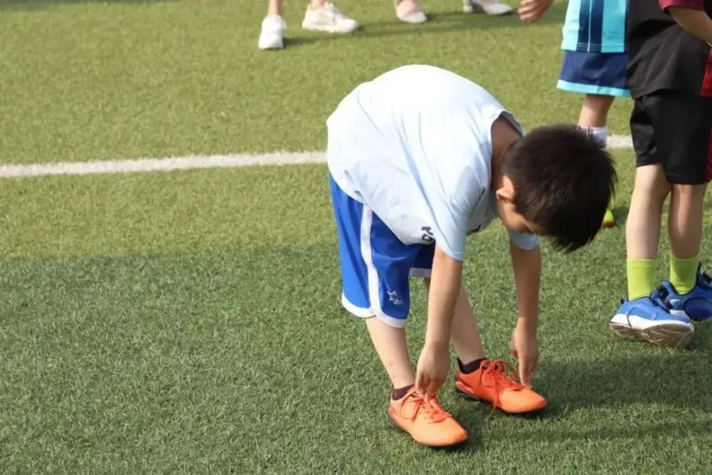 辛巴助力河南,辛巴助力黑龙江灾区