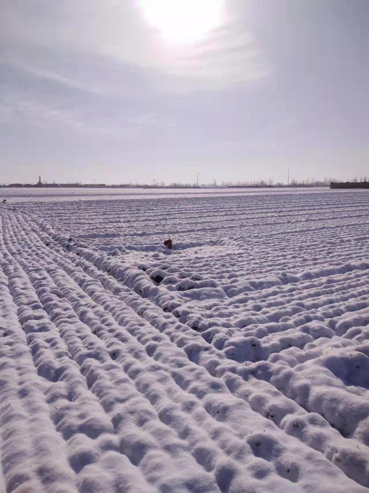 铁道兵战友诗30首,铁道兵退伍战友聚会诗