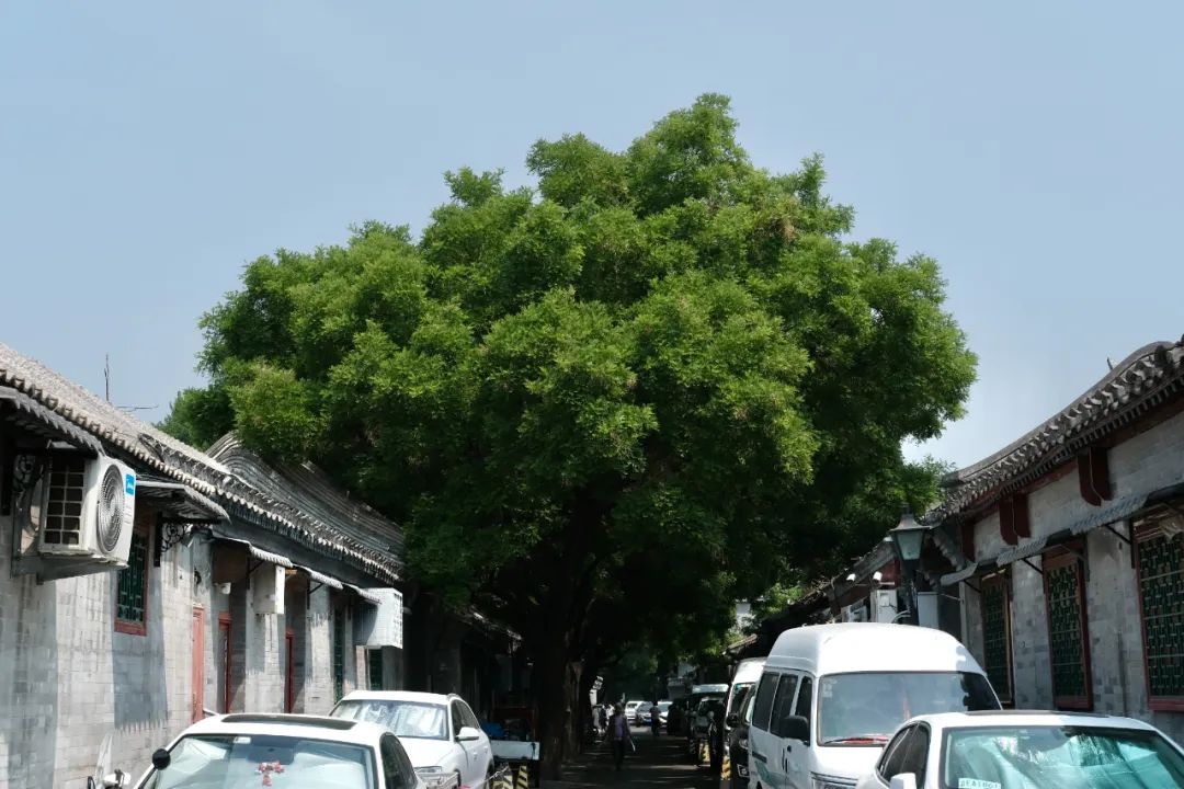 北京文艺气息扑面而来的地方,北京文艺气息的胡同