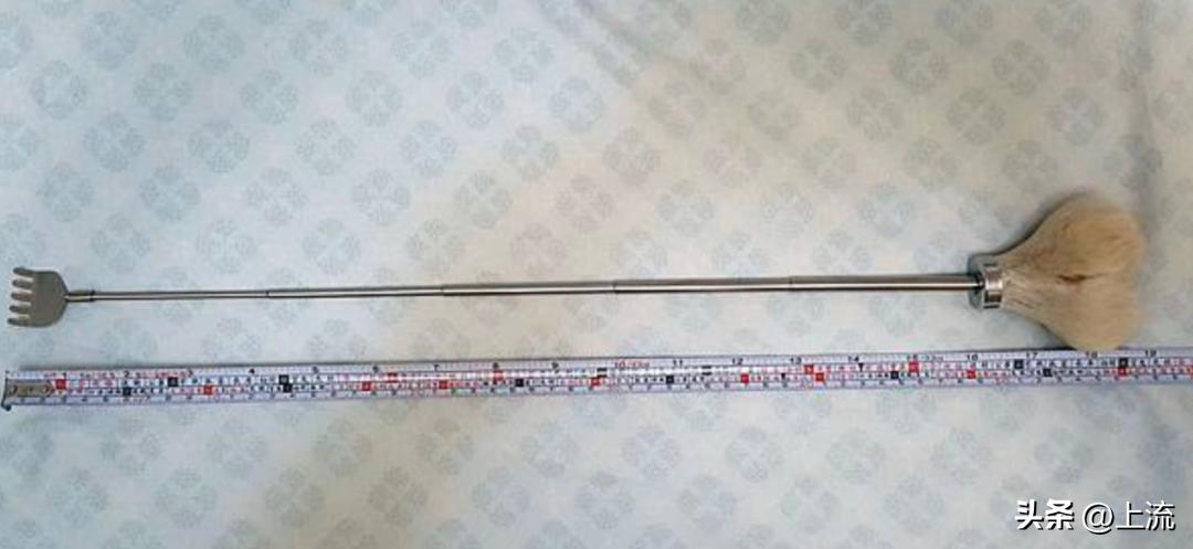 澳洲公袋鼠,澳洲的公袋鼠