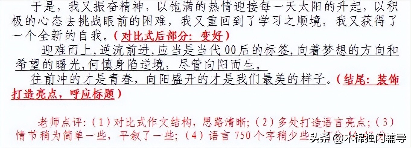 描写木棉花的初中作文,初中作文木棉花