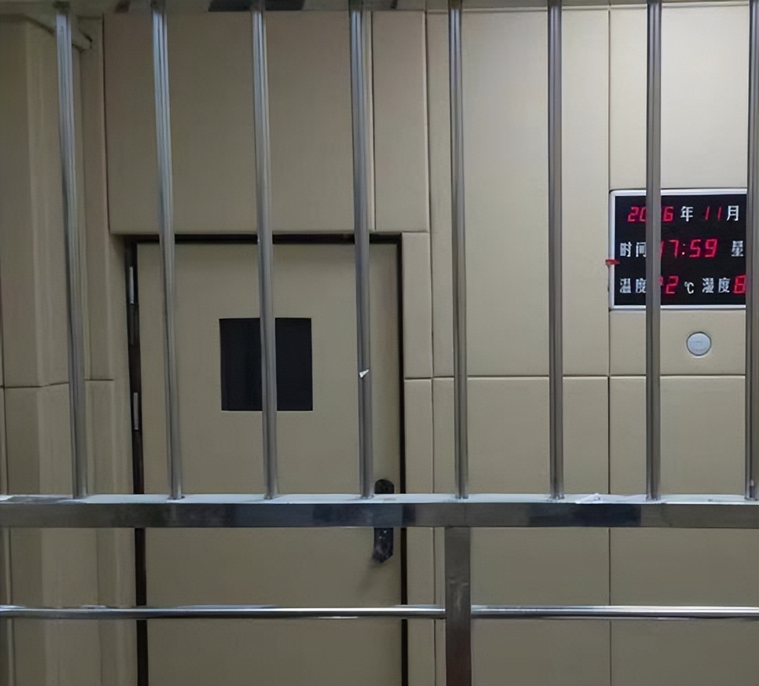 买绿背心被判刑,买绿背心判刑