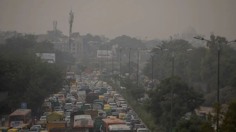 印度吹阵风,印度吹过的牛