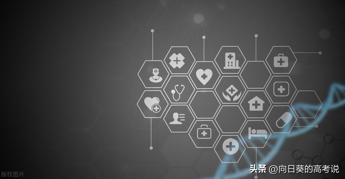 一级学科与专业大类有什么区别,学的专业是一级学科还是二级学科