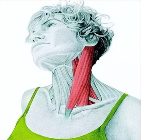 颈椎病低龄化，秦皇岛军工医院康复中心有办法