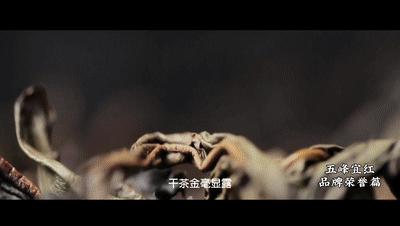 深化对口帮扶||五峰宜红茶：入选中国三大红茶之一究竟有何魅力？
