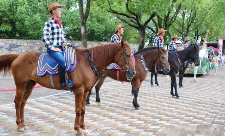 这里有只熊猫会叉腰!——上野的一大波“萌”兽来袭