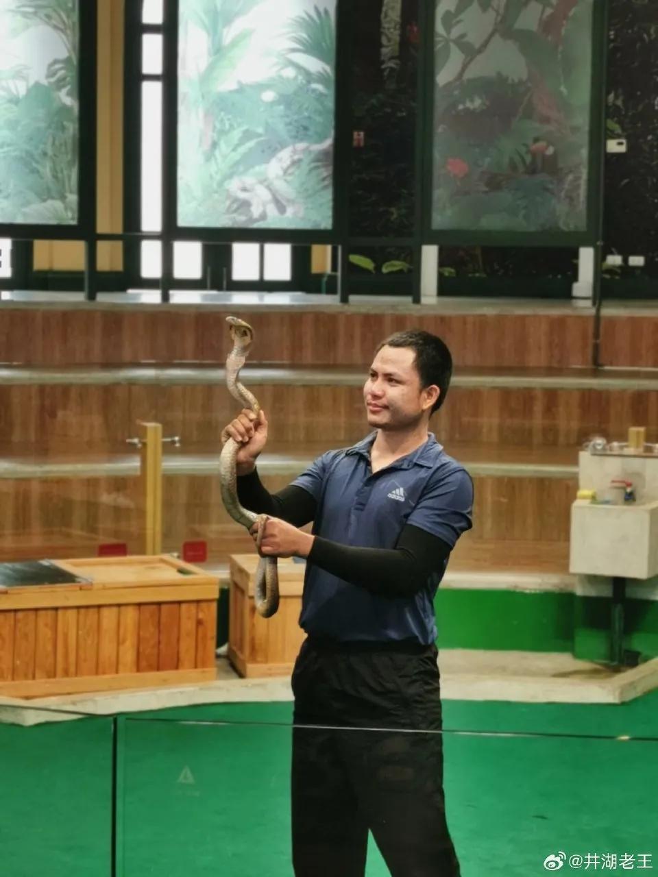 囧途三部曲泰囧,囧行在线观看完整版