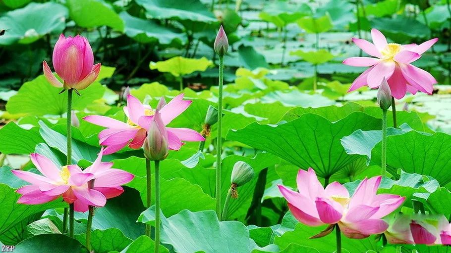 中国人文摄影获奖作品,大美中国摄影作品展获奖