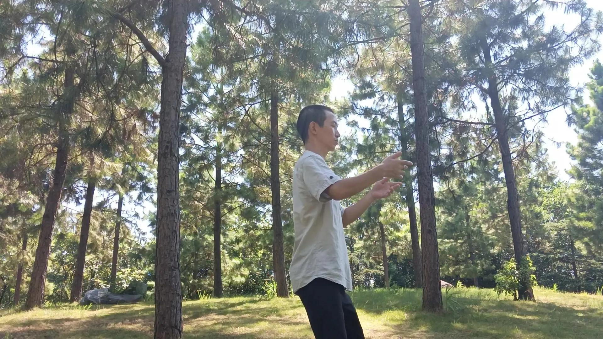 站桩到底怎么练终于有人讲明白了,初学站桩需要注意的9个点