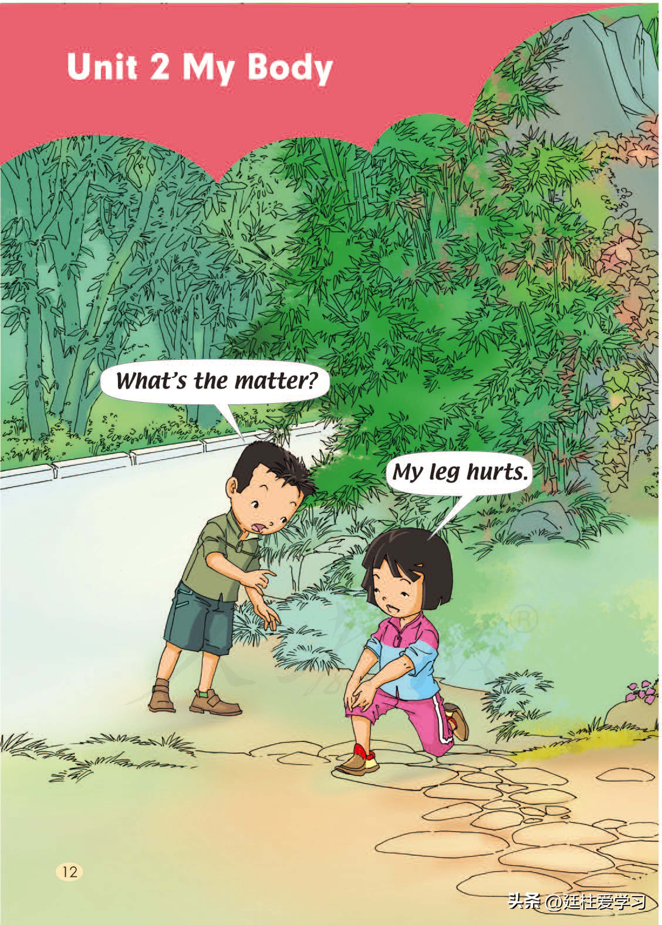 小学英语外研版三年级上册,小学英语精通版三年级上册